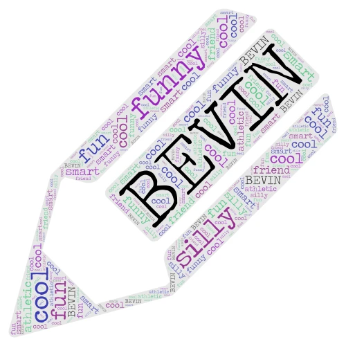 Bevin word cloud art