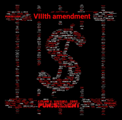 amendment 8 word cloud art