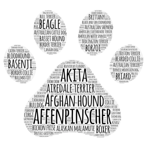 dog word cloud art