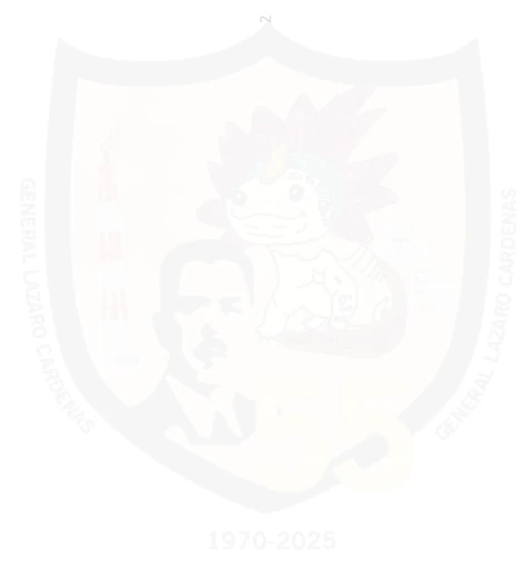 LAZARO CARDENAS word cloud art