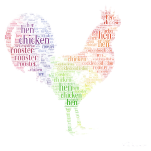 #rainbowchicken word cloud art