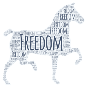 Freedom Horse word cloud art