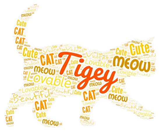 Tigey, my cat word cloud art