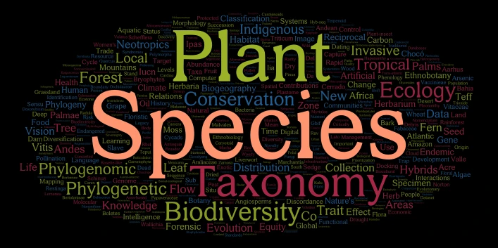 SCM_Keywords word cloud art