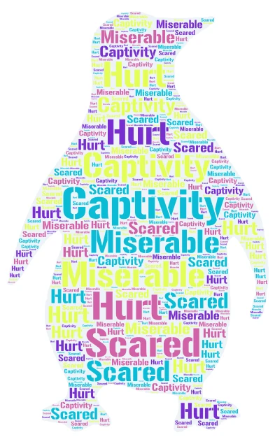 ANIMALS AT THE ZOO word cloud art