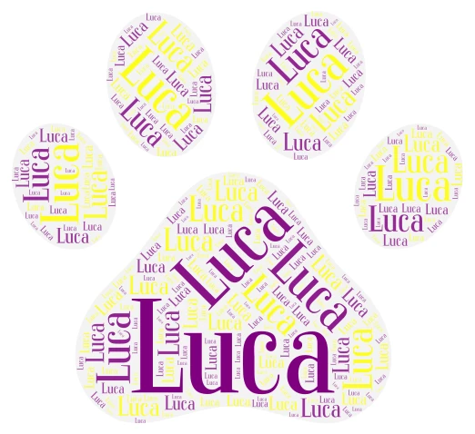 Luca word cloud art