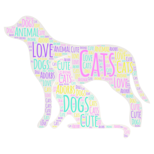Cats and Dogs as Equals  word cloud art