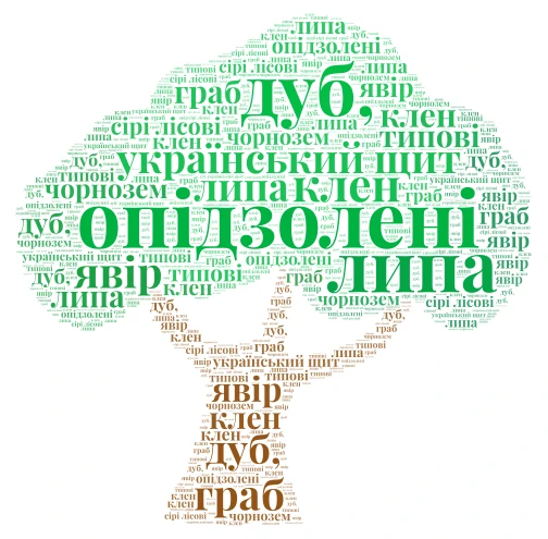 Лісостеп word cloud art