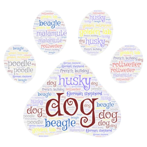 Word Art word cloud art