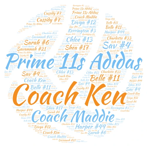 VBall Team word cloud art