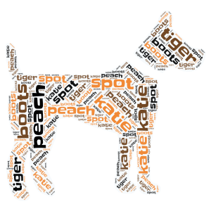 my dogs names word cloud art