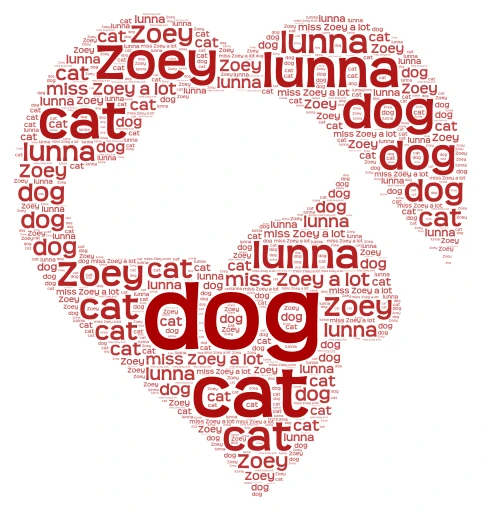 zoey word cloud art