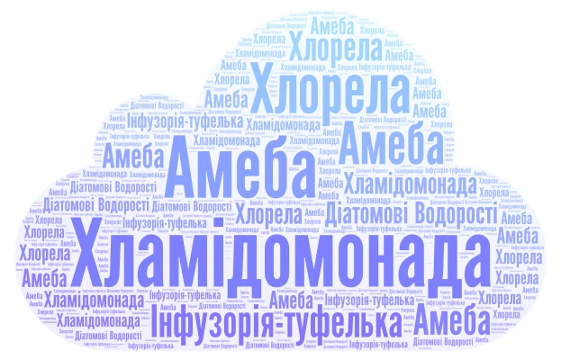 Водорості та найпростіші word cloud art