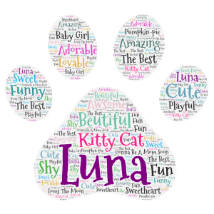 luna is my kitty word cloud art