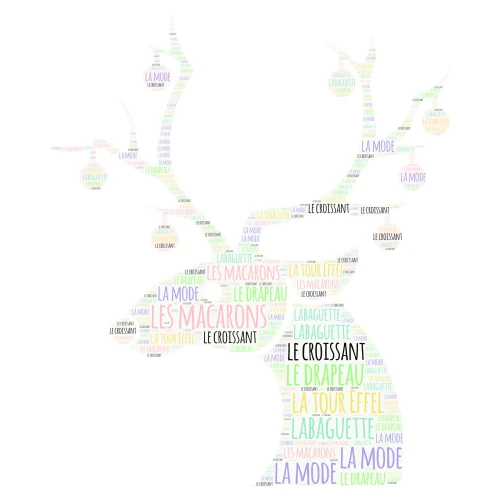 PROIECT FRANCEZA word cloud art