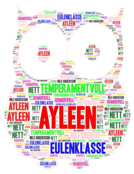 Ayleen word cloud art