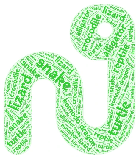 Reptile United word cloud art
