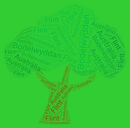 Sara word cloud art