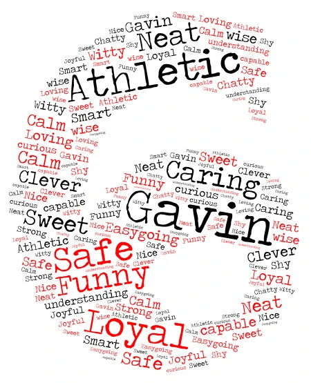 Gavin word cloud art