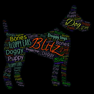 All about Blitz word cloud art
