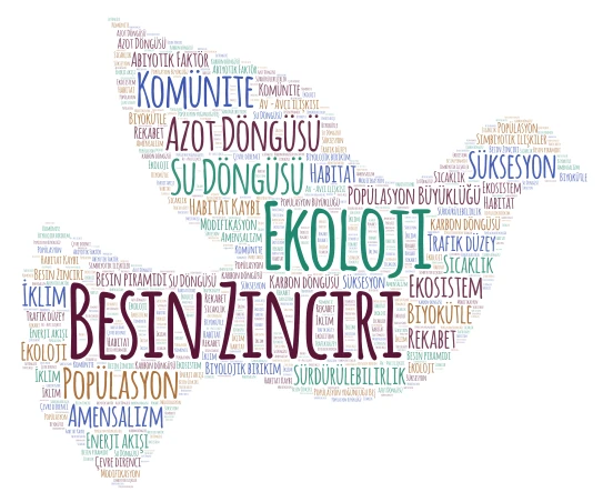 Melis  word cloud art