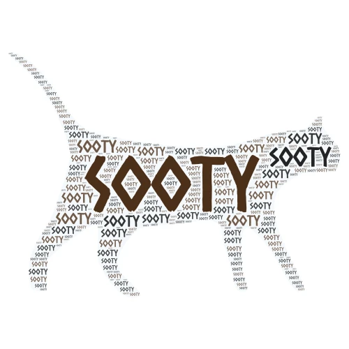 Sooty word cloud art