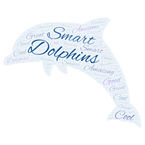 Dolphins word cloud art
