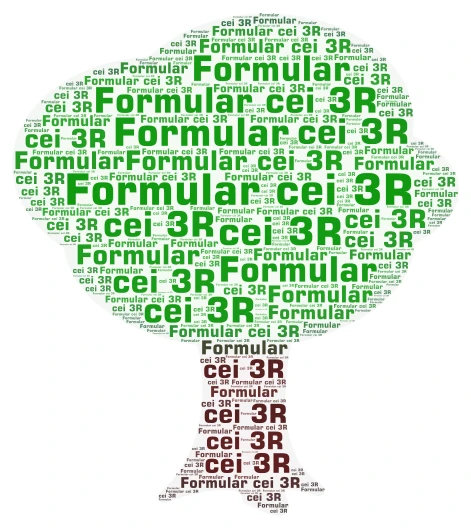 Formular cei 3R word cloud art