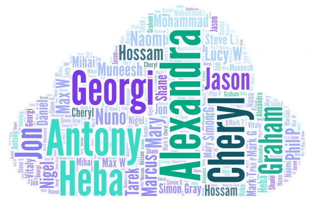 HSLEQ2 word cloud art