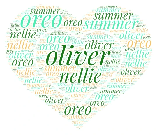 valentines with Ollie 2026 word cloud art