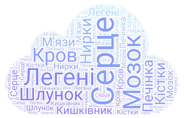 Організм людини word cloud art
