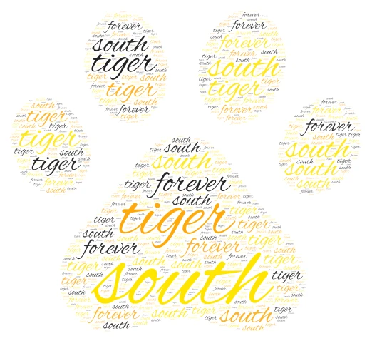 tiger word cloud art