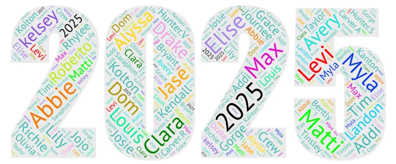2025 word cloud art
