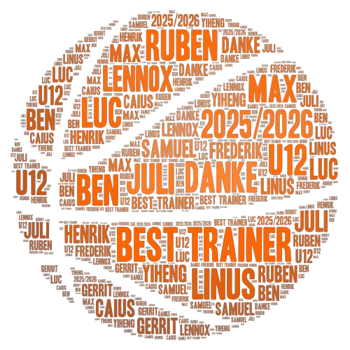 Basketball word cloud art