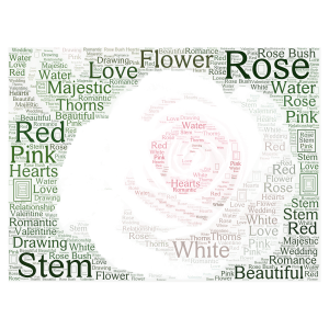 Roses word cloud art