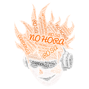 NOHORA word cloud art