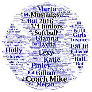 Public Black & Blue Softball word cloud art