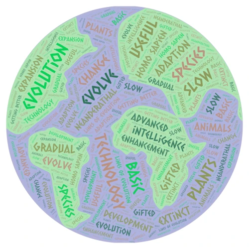 evolution word cloud art