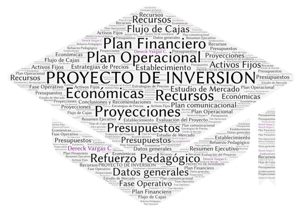 Proyecto de Inversión word cloud art