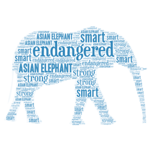 save the asian elephant word cloud art