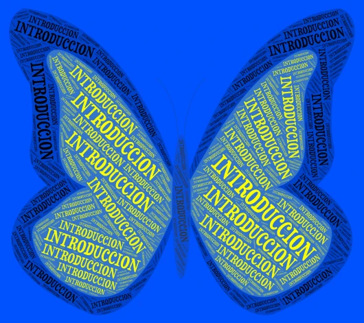 INTRODUCCION  word cloud art