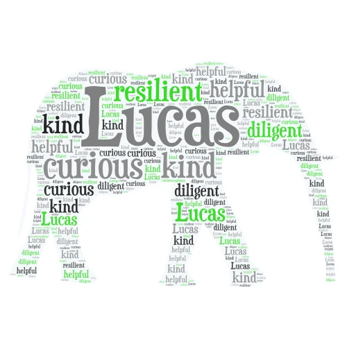 Lucas C word cloud art