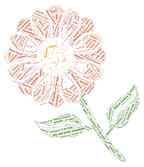 biology  word cloud art