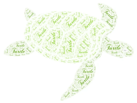 Turtle word cloud art