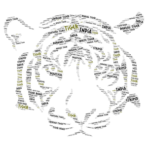 Tigers word cloud art