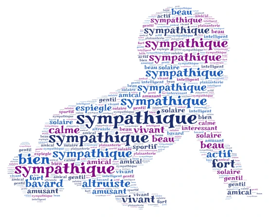 nuages ​​du monde word cloud art