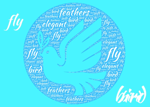 the elegant bird word cloud art