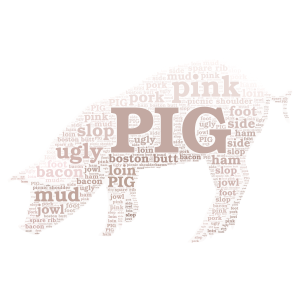 PIG word cloud art