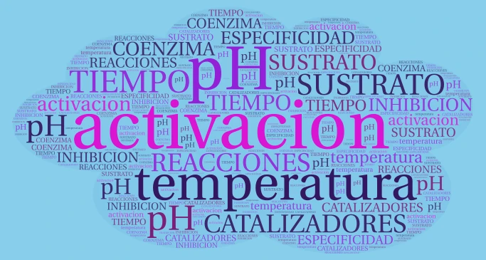NUBES DE PALABRAS word cloud art