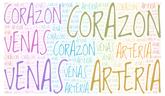 SISTEMA CIRCULATORIO word cloud art